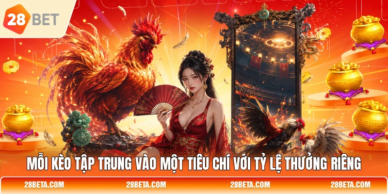 Mỗi kèo tập trung vào một tiêu chí với tỷ lệ thưởng riêng